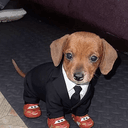 PUPMC
