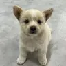 Moka