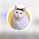 HUHCAT