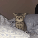 eepy