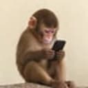 fone