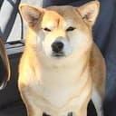 Kenai