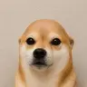 Bald