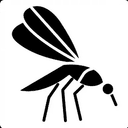 Mosquito
