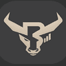 BULLS