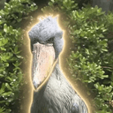 Shoebill