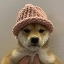 ACHI