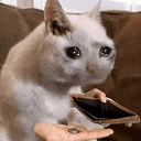 ZEROCOIN