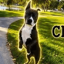 ChooChoo