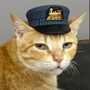 Meowdavli
