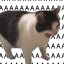 KITTENGER