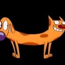 DogCat