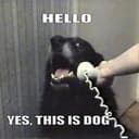 CALLDOG