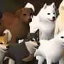 RuneDogs