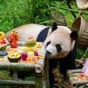 毛竹