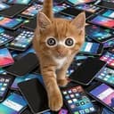 Calloutcat