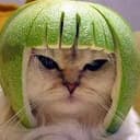 meloncat