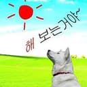햄 볶는거야