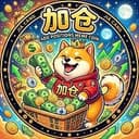 加仓