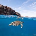 apnea