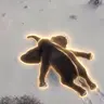 Starphant