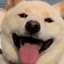 Yuki