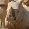 SALAM