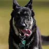 MAJOR