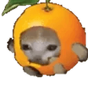 BONCAT