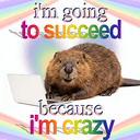 beaver