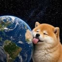 lickingdog