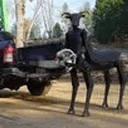 CENTAUR