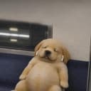 EEPY