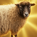 colerfarm