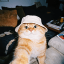 JIMBO