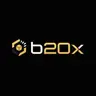 B20X