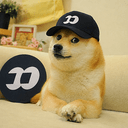FOMODOGE
