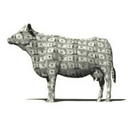 Cash Cow