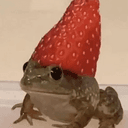 frogberry