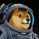 DOGE1
