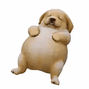 eeepydog