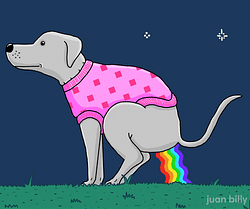 NYANPOOP