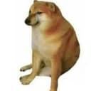 cashdog