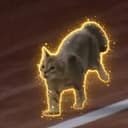 Rallycat
