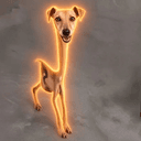 hungrydog