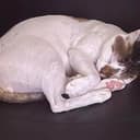 sleep