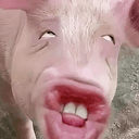 PG