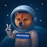 SPACESHIBA