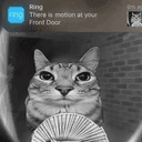 motion