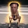 ELONDOG